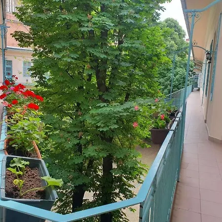 Gr3 Budapeste